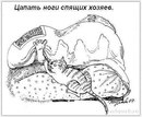 Діана Ставка фотография #45 (источник - https://vk.com/id166687039)