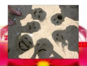 Андрей Шкварко фотография #6 (источник - https://vk.com/id12780759)