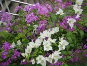 Фотография Мардиросовой Татьяны