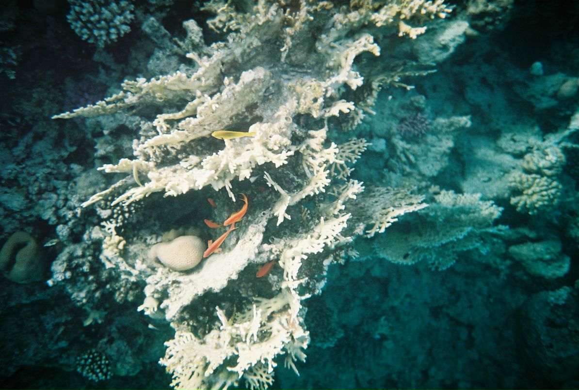 Александр Кадыкеев фотография #31