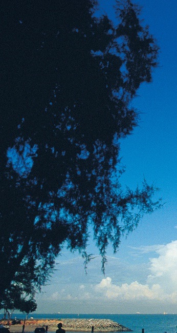 Миша Смарса фотография #40