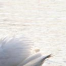 Ірина Швець фотография #28 (источник - https://vk.com/id146166672)