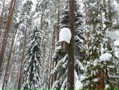 Andrei Ilyushenko фотография #17 (источник - https://vk.com/id510574)