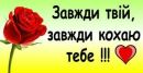 Вадім Горщарук фотография #45 (источник - https://vk.com/id152301792)