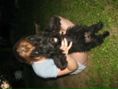 Фотография Бышенко Ольги