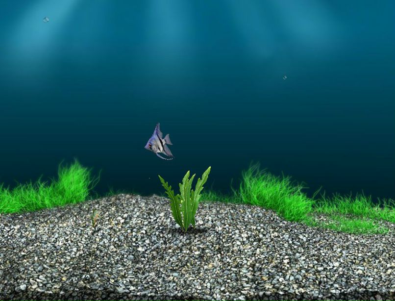 Павел Бугаев фотография #45