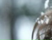 Софія Бас фотография #12 (источник - https://vk.com/id80195235)