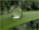 Фотография Петеневой Марины