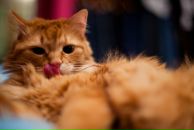 Андрій Ємельяненко фотография #8 (источник - https://vk.com/id11656710)