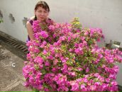 Фотография Светлаковой Натальи