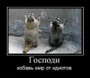 Міша Мішко фотография #37 (источник - https://vk.com/id252009420)