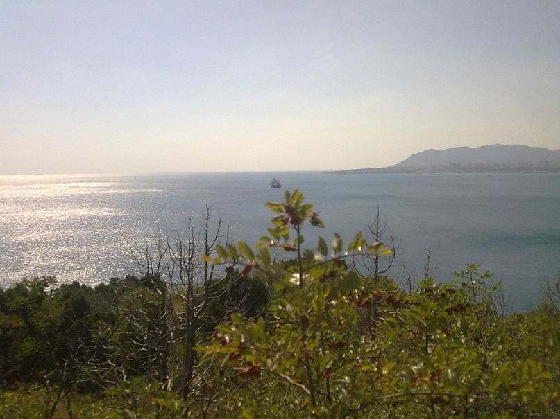 Дмитрий Туркевич фотография #38