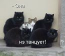 Фотография Пуниной Татьяны