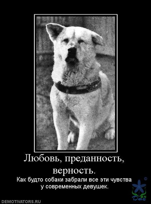 Сергей Пышкин фотография #45