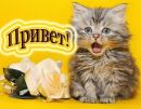 Фотография Гапейченко Марины
