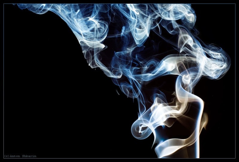 Антон Засада фотография #10