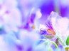 Оксана Коптєва фотография #8 (источник - https://vk.com/id162272161)