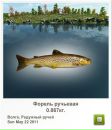 Євген Мішустін фотография #4 (источник - https://vk.com/id20056123)