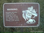 Иван Ковчегов фотография #10 (источник - https://vk.com/id430968)