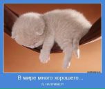 Тетяна Єгорова фотография #32 (источник - https://vk.com/id50679045)