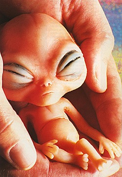 №9, Алексей Куртов, 40 лет, Москва №9, Алексей Куртов, 40 лет, Москва