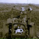 Фотография Юдаева Михаила