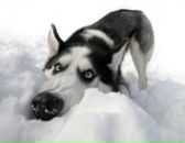 Фотография Измайлова Андрея