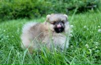 Фотография Калинкиной Марины