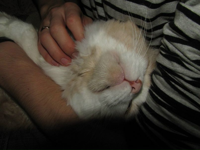 Сергей Науменко фотография #48