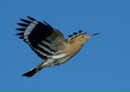 Фотография Сашиной Татьяны