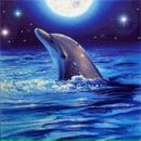 Фотография Богданов Эдуард