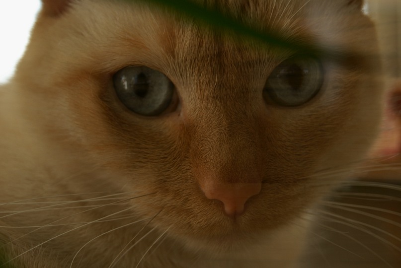 Luw L фотография #32