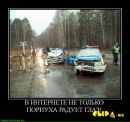 Міша Петровці фотография #6 (источник - https://vk.com/id145952320)