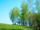 Олександр Іванов фотография #42 (источник - https://vk.com/id128045249)