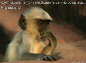 Фотография Коренькова Игоря