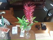 Фотография Lopatchenko Viitoria