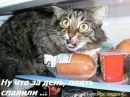 Максим Кітраль фотография #9 (источник - https://vk.com/id187892950)