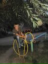 Фотография Насиковского Ивана