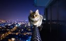 Фотография Мишиной Анастасии