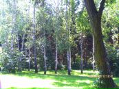 Надія Сенькова фотография #9 (источник - https://vk.com/id68185581)