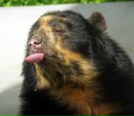 Фотография Игуменцевой Таисии