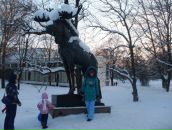 Фотография  