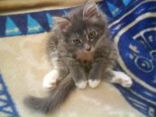 Фотография Вихровой Юлии