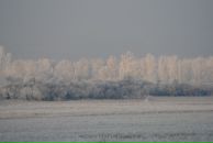 Yuri Bishaev фотография #8 (источник - https://vk.com/id770221)