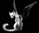 Фотография Орловой Екатерины