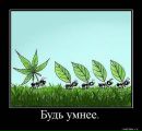 Ігор Мельник фотография #7 (источник - https://vk.com/id15935385)