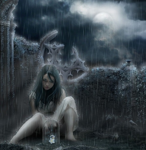 Night Rain фото №47