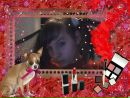 Анна Стоїч фотография #50 (источник - https://vk.com/id150475458)