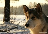 Фотография Федорова Дмитрия