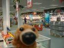 Doggy Sad фотография #31 (источник - https://vk.com/id142165849)